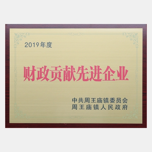 2019年度財政貢獻(xiàn)先進(jìn)企業(yè)